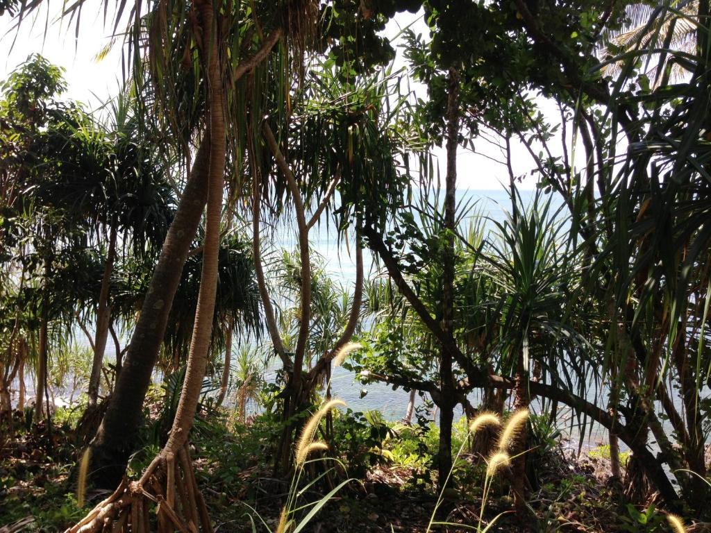 The Narima - Sha Plus Koh Lanta Exterior photo